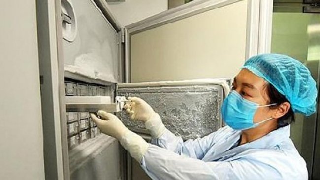 Vuhan'da 1500 virüsün saklandığı fotoğraf basına sızdı!