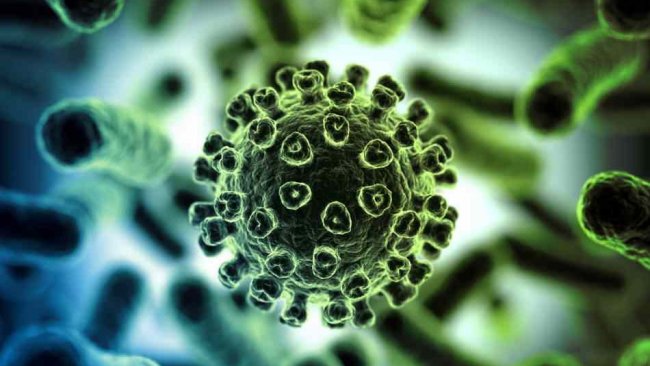Uzmanlardan 'koronavirüs' raporu: 'Olası 3 senaryo var'