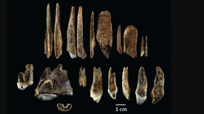 Avrupa'daki bilinen ilk insanların kalıntıları, Bulgaristan’da bir mağarada bulundu