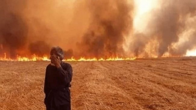 'Kürt çiftçilerin ekinlerinin yakılmasının sorumlusu Irak Hükümeti’dir'
