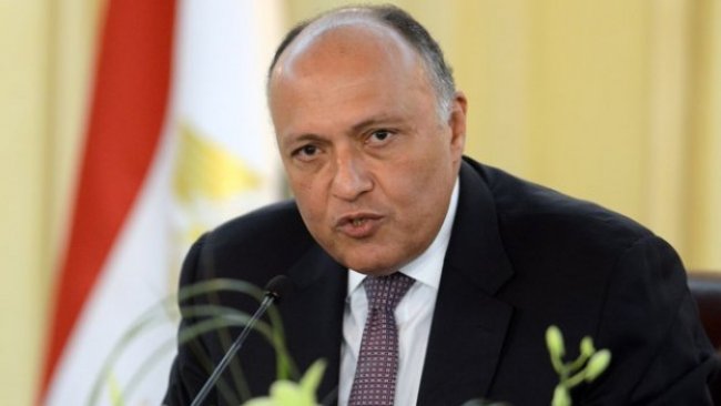 Mısır Dışişleri Bakanı: Türkiye'nin yayılmacı politikasına karşıyız