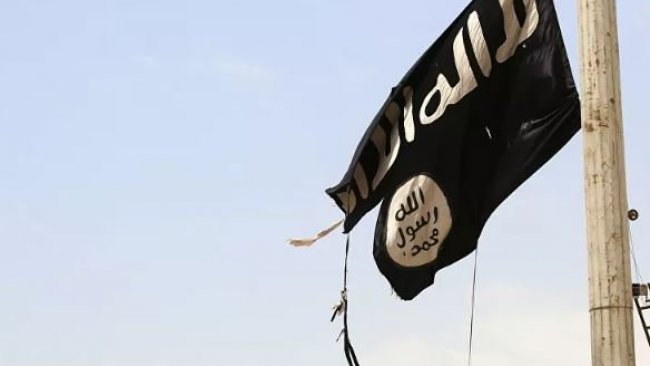Sere Kaniye'de IŞİD bayrağı açan kişi gözaltına alındı