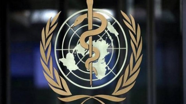 DSÖ: Uluslararası seyahatlerde 'aşı pasaportu şartı' getirilmeli