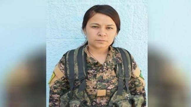 YPJ'li Çiçek Kobani’nin annesinden uluslararası topluma çağrı