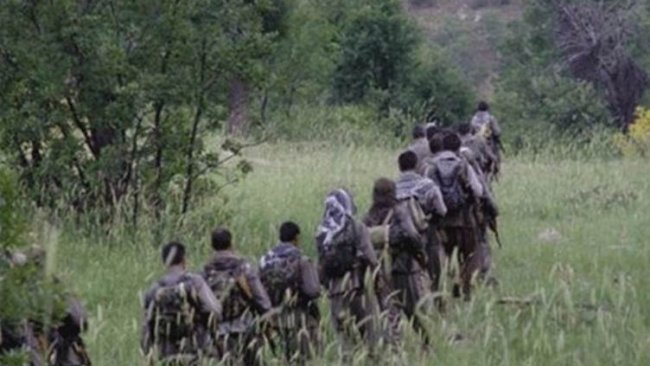 Bagok’ta hayatını kaybeden 3 PKK'li Mardin’de toprağa verildi
