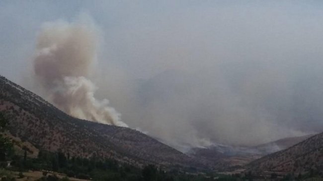 TSK ile PKK arasında şiddetli çatışma