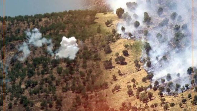 Duhok İl Meclisi Başkanı: Türk ordusu ormanlarımızı yok ediyor