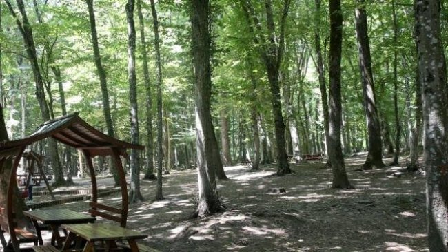 Dersim'de ormanlara giriş 30 günlüğüne yasaklandı