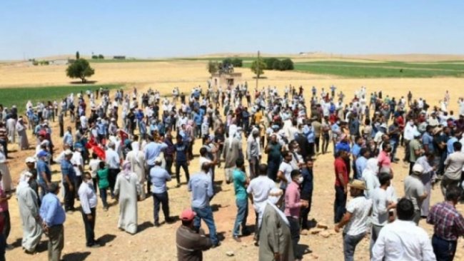 Urfa’da çiftçiler yol kesti, hükümeti istifaya çağırdı