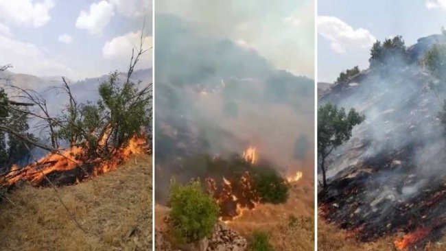 Belediye başkanından Şemdinli'deki yangın çağrılarına 'yaygara koparıyorlar' tepkisi