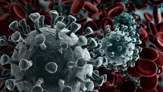 DSÖ'den dikkat çeken açıklama: Yeni bir koronavirüs tespit edildi
