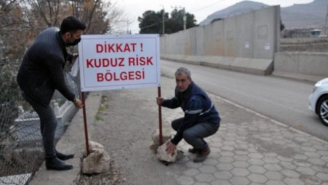 Mardin'de kuduz köpek paniği