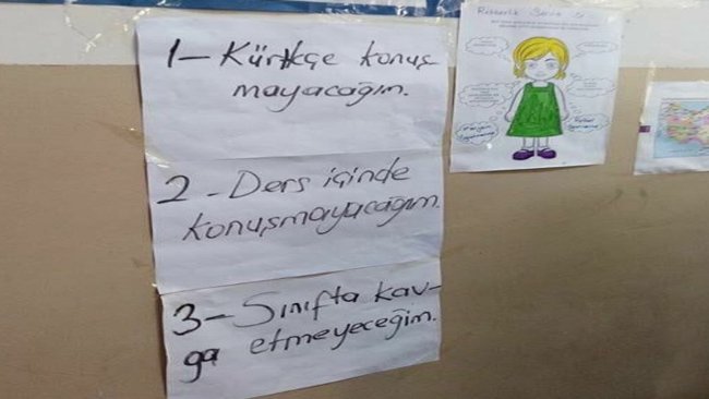 Hangi ülkeler çok dilli eğitim veriyor?