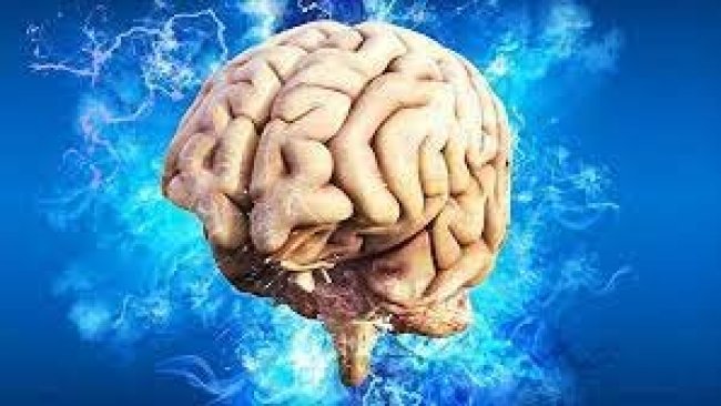 Bilim insanları, ölen bir insanın beyin aktivitelerini ilk kez görüntüledi