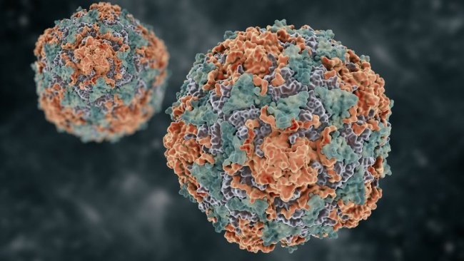 DSÖ'dan 'gizemli hepatit' açıklaması