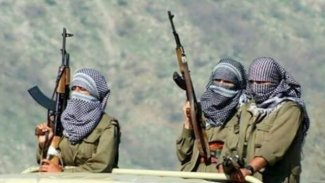 KDP yetkilisi Hiwa Geylani'den PKK açıklaması