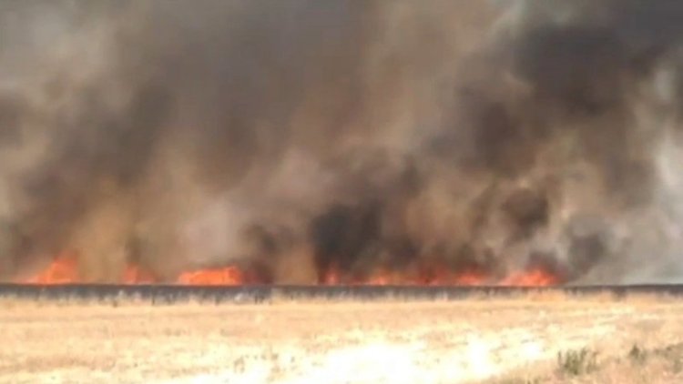 Diyarbakır'da 220 dönüm tarlada yangın
