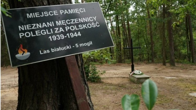 Polonya'da toplu mezar bulundu: 8 bin Nazi kurbanı...