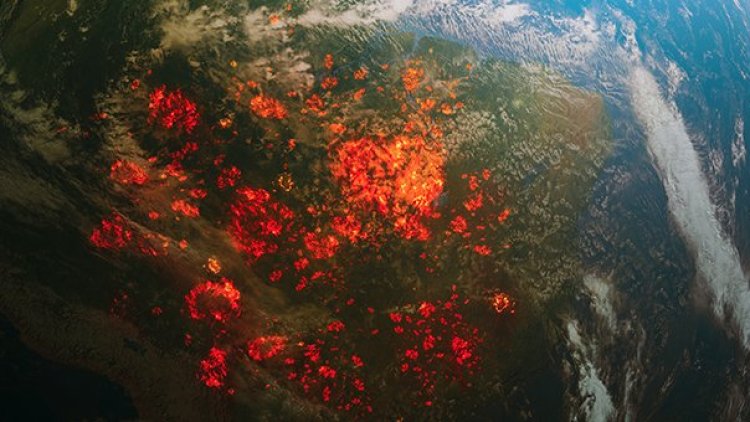 Dünya orman yangınlarıyla mücadele ediyor: Avrupa ve ABD'de alarm durumu