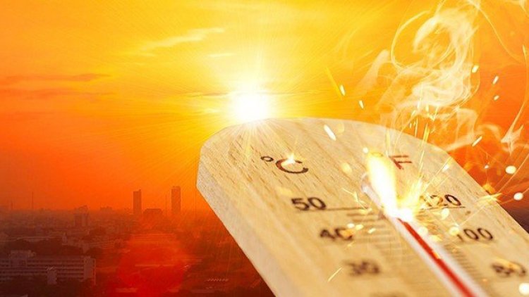 DSÖ: Avrupa'daki sıcak havalar kıyametle alakalı