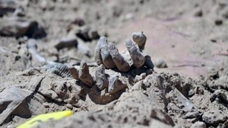Şengal'de bir toplu mezar daha bulundu