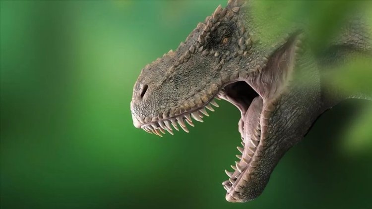 FARC bölgesine giren bilim insanları yeni bir dinozor türünü keşfetti