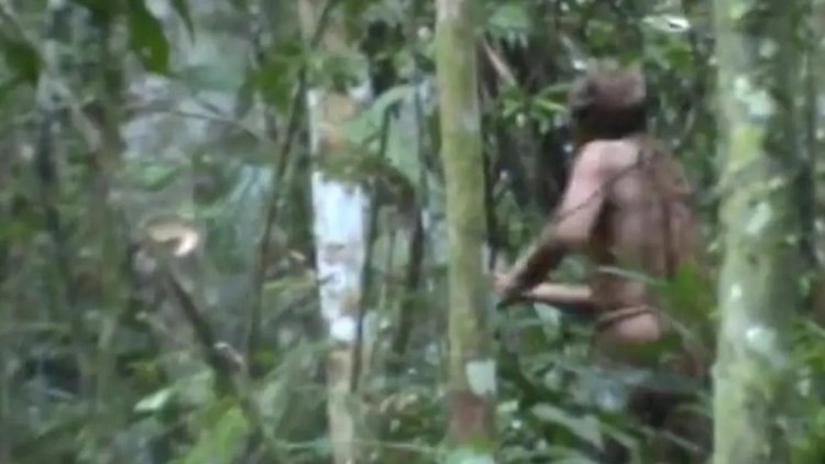 Amazon ormanlarında  yaşayan 'son yerli' öldü