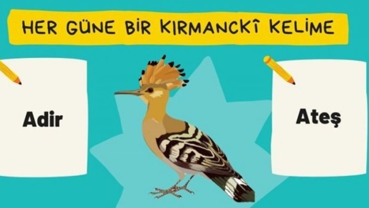Dersim Araştırmaları Merkezi’nden ‘Her güne bir Kırmancki kelime’ kampanyası