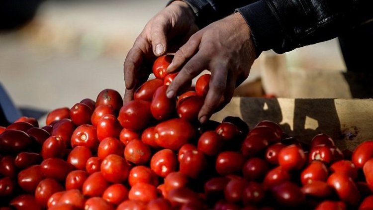 Kürdistan Bölgesi'ne domates ve salatalık ithalatı yasağı süresiz uzatıldı