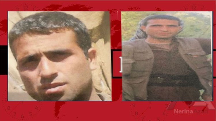 ‘PKK’nin akademiler sorumlusu öldürüldü’ iddiası
