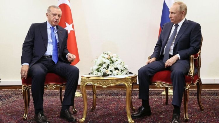 Amberin Zaman: Putin neden Erdoğan'ı destekliyor?