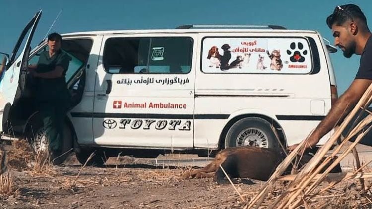 Kürdistan Bölgesi’nde ilk hayvan ambulansı hizmete girdi