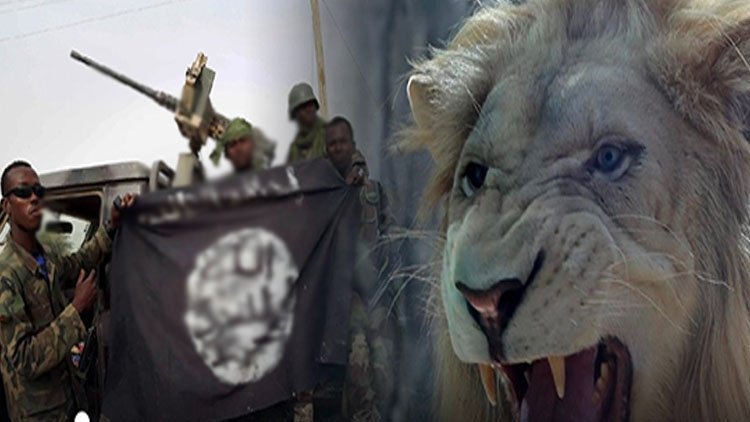 IŞİD'liler vahşi hayvanlara yem oldu!