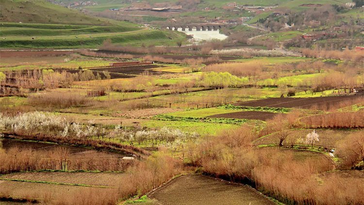 Diyarbakır'ın 8 bin yıllık Hevsel Bahçeleri risk altında