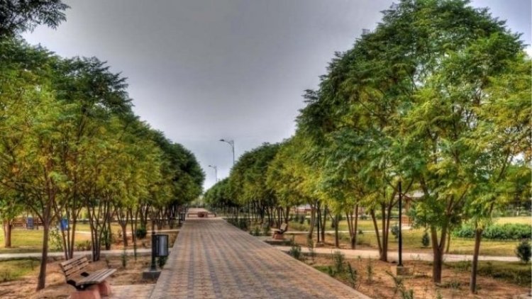 Başkent Erbil'de 100 milyon ağaç dikilecek