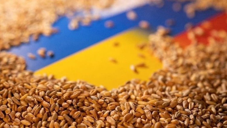 Rusya, Tahıl Anlaşması'nı askıya aldı