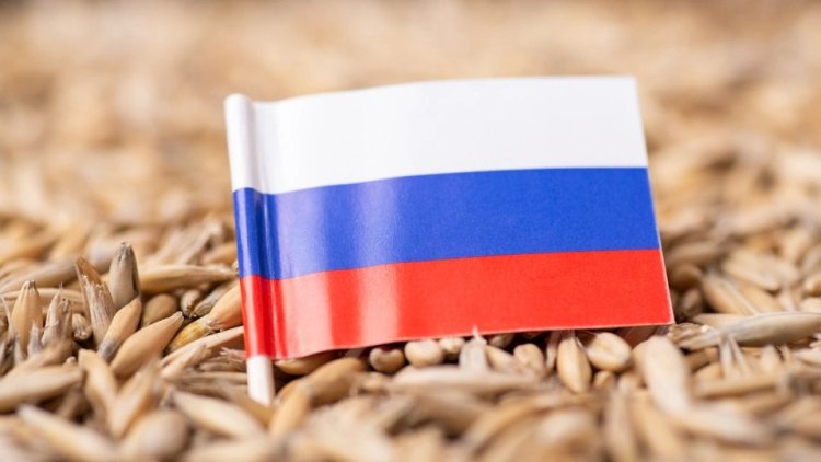 Rusya: Tahıl koridoru anlaşmasına geri dönme kararı aldık