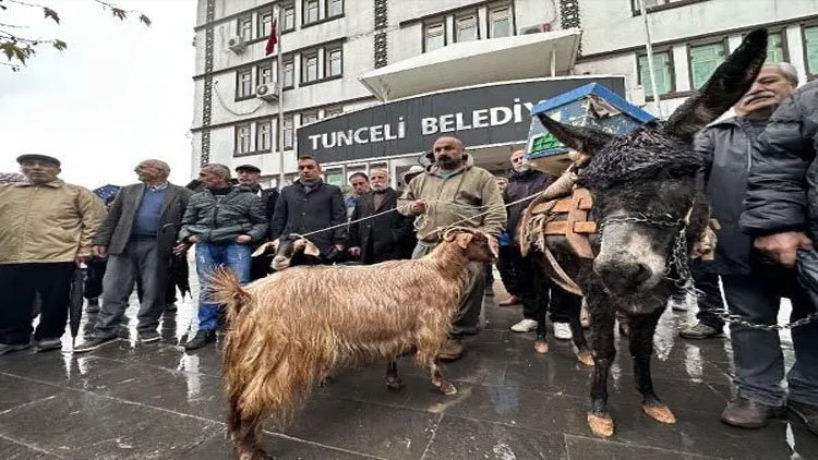 Köylülerden Dersim Belediyesi önünde eşekli, keçili protesto