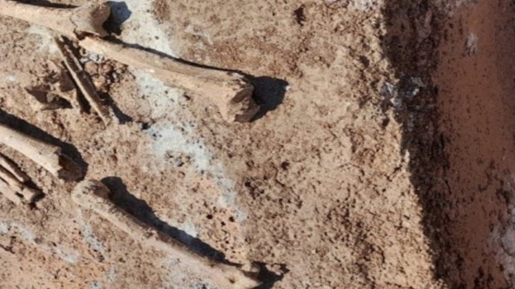 'JİTEM Karargahı' olduğu iddia edilen yerde insan kemikleri bulundu