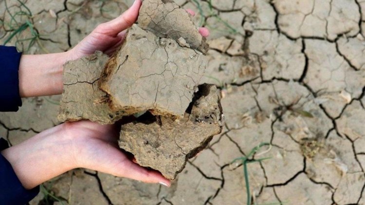 Kürt illerinde şiddetli kuraklık kabusu: 'Geleceği daha da kötü öngörüyoruz'