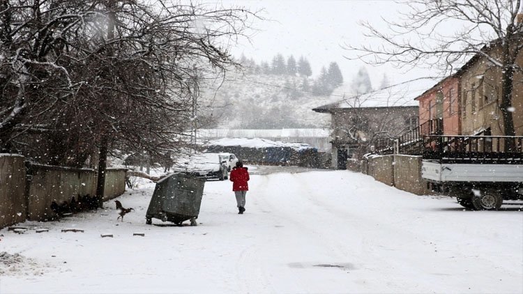 Dersim ve Malatya'da kar yağışı nedeniyle yollar kapandı