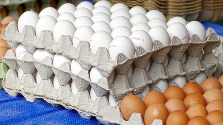 Irak, fiyat artışına karşı Kürdistan Bölgesi'nden yumurta alacak