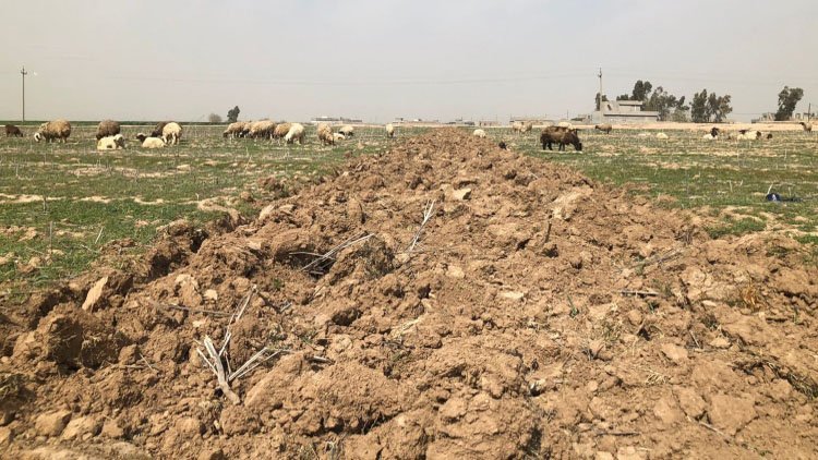 Kerkük: Kürtlere ait tarım arazisine askeri üs kuruluyor