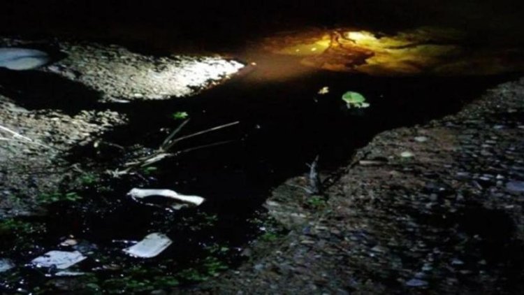 Boru hattından sızan ham petrol Dicle Nehri'ne aktı