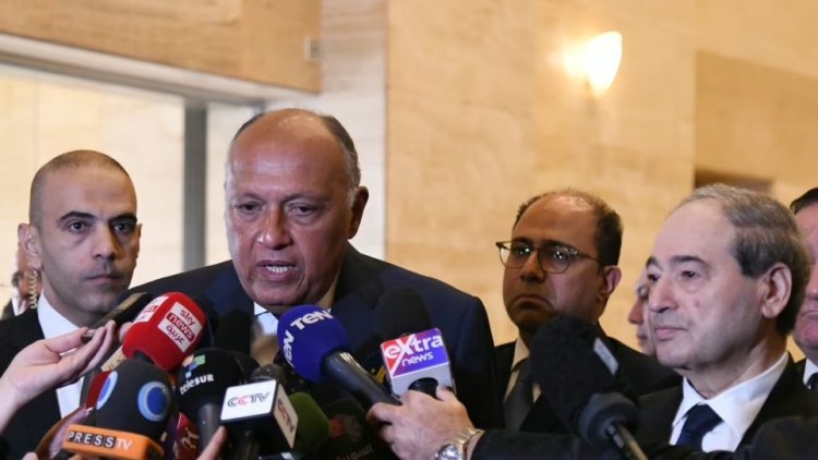 2011’den beri bir ilk: Suriye Dışişleri Bakanı resmi ziyaret İçin Mısır'da