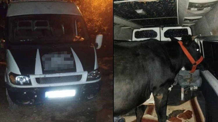 Urfa: Hayvan hırsızları kaçarken takipteki polisi vurdu