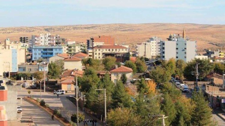 Şırnak’ta 20 kişi gözaltına alındı