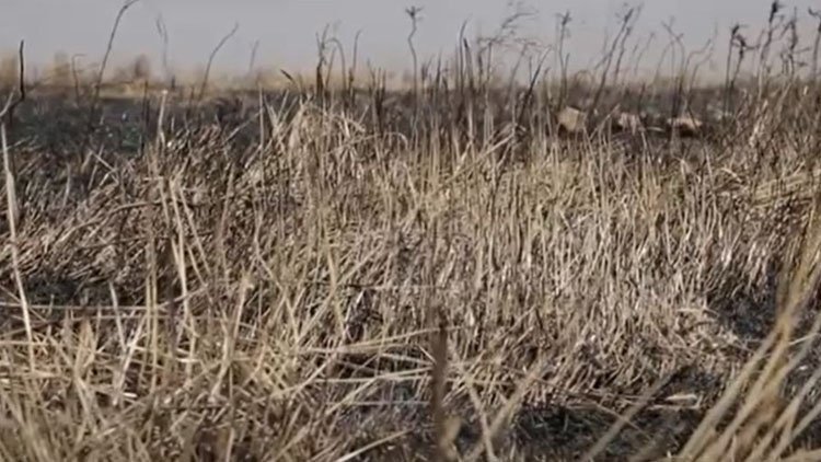 Süleymaniye’de buğday tarlalarında yangın: 36 çiftçinin mahsulü kül oldu