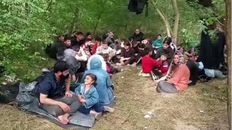 Türkiye-Yunanistan sınırındaki bir adada mahsur kalan 80 Ezidi Kürt sığınmacı kurtarıldı