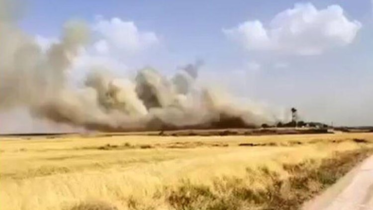 Mardin'de 150 dönüm alanda ekili buğday yandı